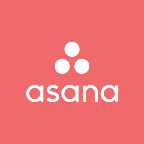 How to Filter Asana by Project
